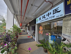 Banda Street (D1), Shop House #452576831